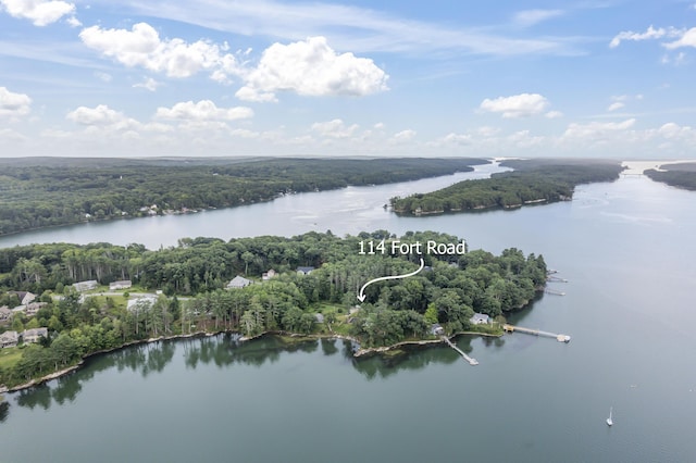 bird's eye view with a water view and a view of trees