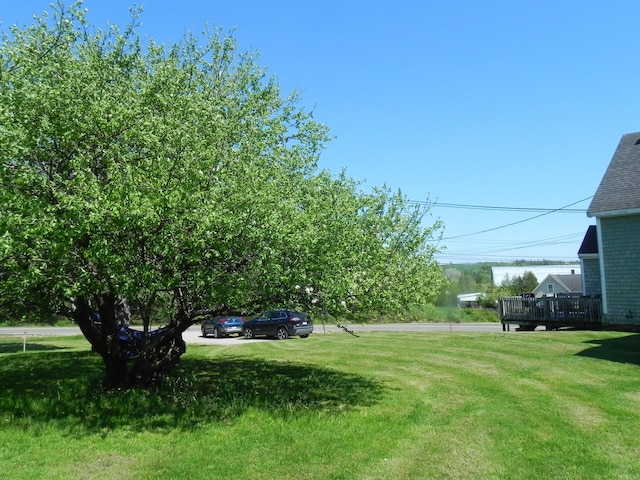 view of yard with a wooden deck