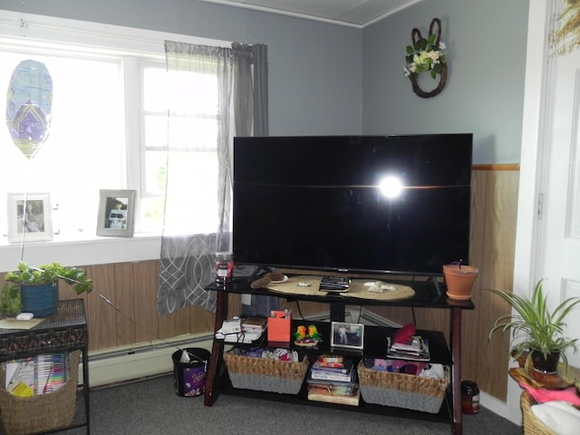 game room featuring a baseboard heating unit, carpet flooring, and wood walls