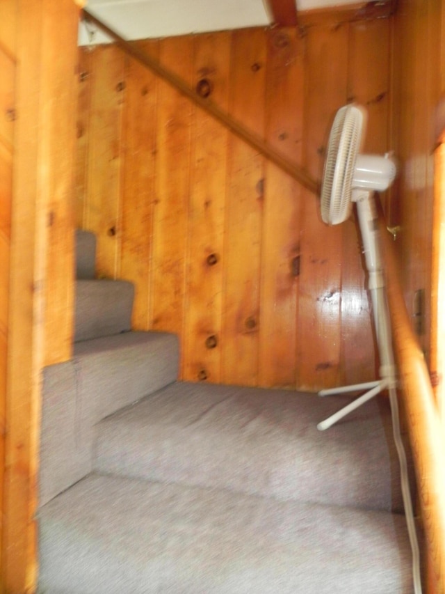 staircase featuring carpet floors and wooden walls