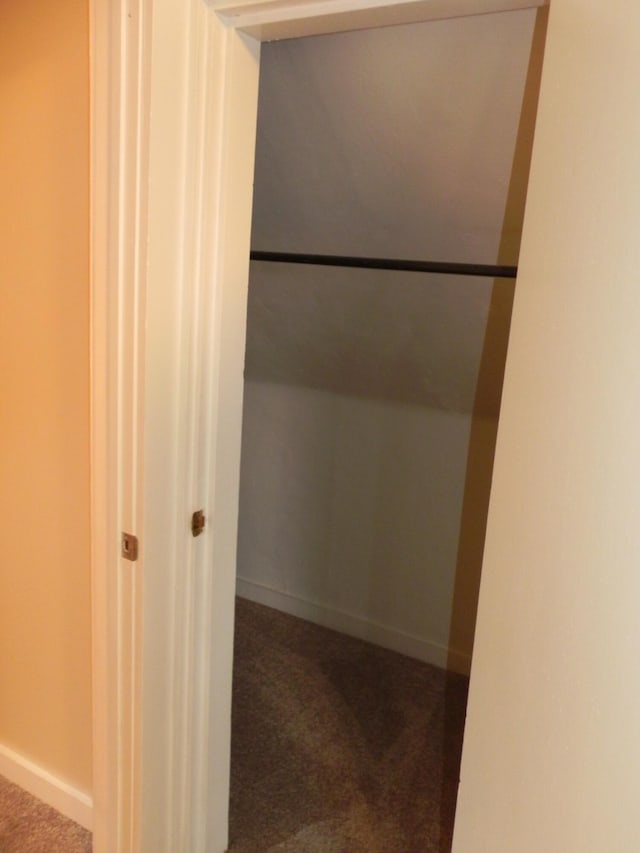 view of closet