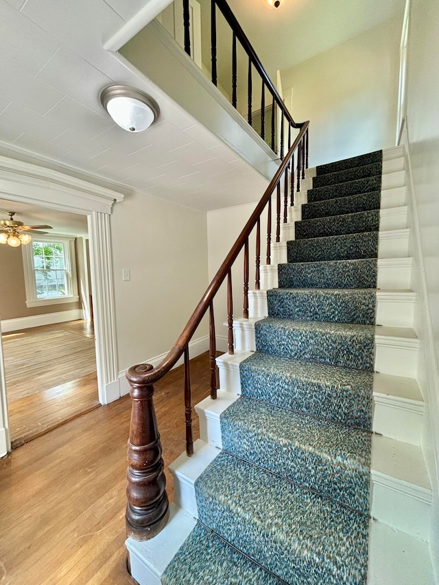 stairway with ceiling fan and hardwood / wood-style floors