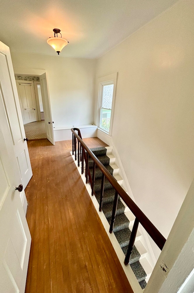 stairs featuring light hardwood / wood-style flooring