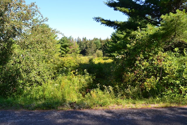 Listing photo 3 for LOT1 Foster Ln, Dennysville ME 04628