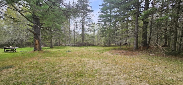 457 Porter Nadeau Rd, Eustis, ME 04936 - view of green lawn featuring a view of trees