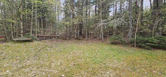 457 Porter Nadeau Rd, Eustis, ME 04936 - view of green lawn with a view of trees