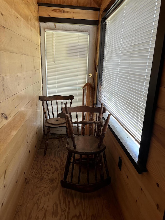 living area with wood walls