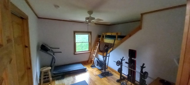 workout room featuring wood-type flooring, ceiling fan, and crown molding