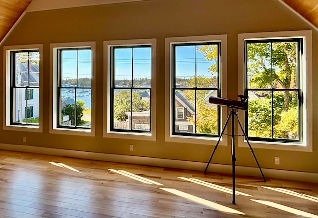 interior space featuring vaulted ceiling and a healthy amount of sunlight