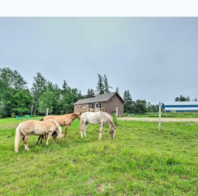 view of yard with a rural view