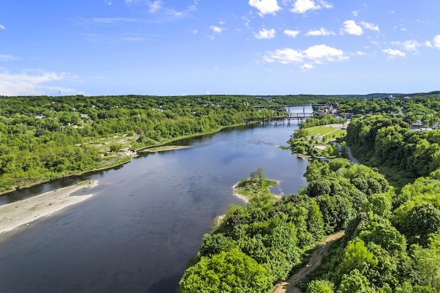 bird's eye view featuring a water view and a view of trees