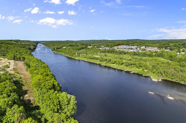 bird's eye view with a water view and a view of trees