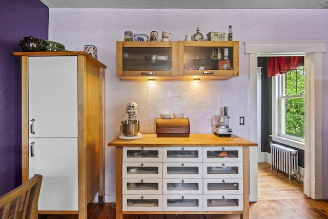 bar featuring decorative backsplash, wood finished floors, and radiator heating unit