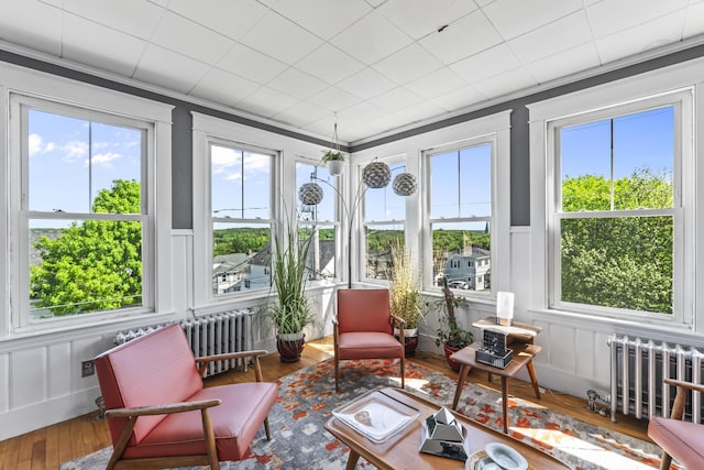 sunroom featuring hardwood / wood-style floors, radiator heating unit, and a healthy amount of sunlight