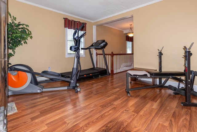 workout area featuring crown molding and wood-type flooring