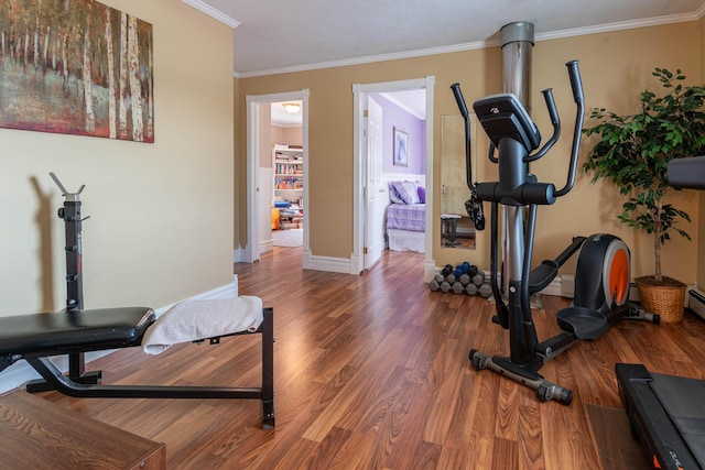 workout room featuring dark hardwood / wood-style flooring and crown molding