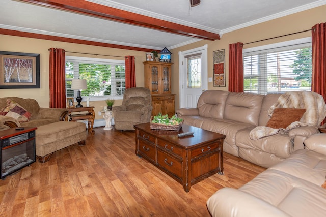 living room featuring ornamental molding and light hardwood / wood-style flooring