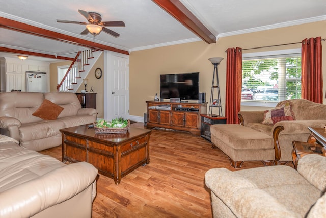 living room featuring ceiling fan, light hardwood / wood-style floors, beam ceiling, and ornamental molding