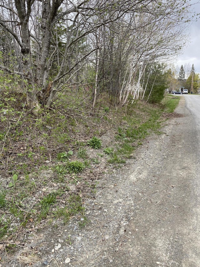 Listing photo 2 for LOT123A Harvey St, Caribou ME 04736