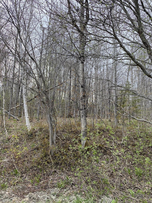 Listing photo 3 for LOT123A Harvey St, Caribou ME 04736