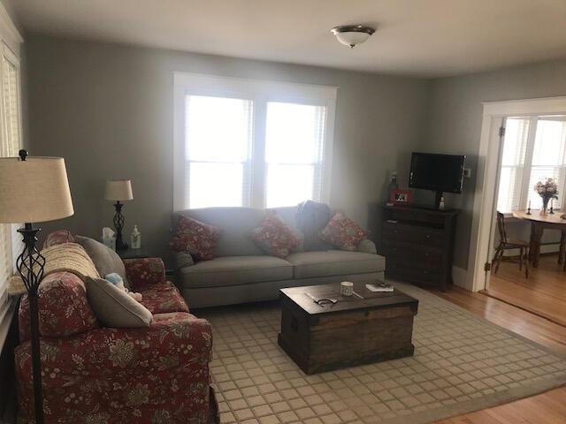 living room featuring a wealth of natural light and light wood-type flooring