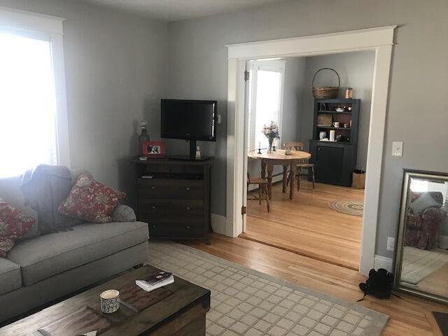 living room featuring wood-type flooring