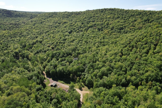 bird's eye view