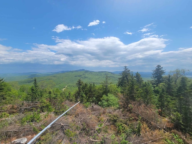 property view of mountains