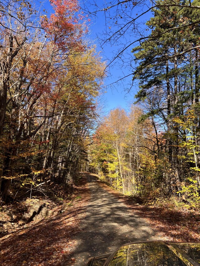 M17L13, 34 Edelheid Rd, Sandy River Plt, ME 04970