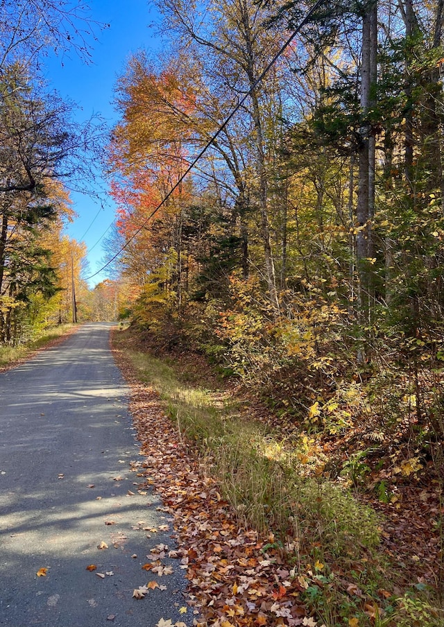 M17L13, 34 Edelheid Rd, Sandy River Plt, ME 04970