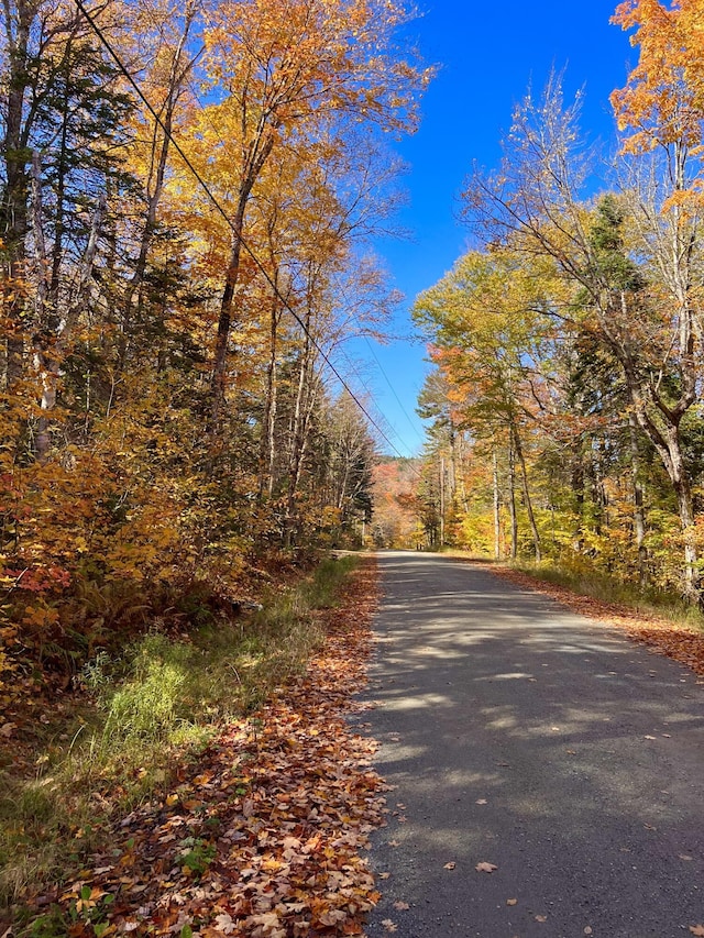 M17L13, 34 Edelheid Rd, Sandy River Plt, ME 04970