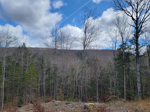 Listing photo 3 for 1009 Apres Way, Carrabassett Valley ME 04947