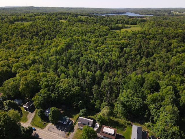 M12L15 Hudson Ave, Guilford ME, 04443 land for sale