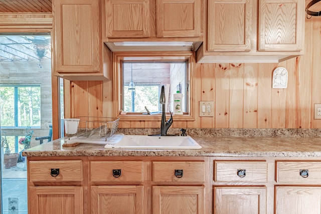 kitchen featuring light brown cabinetry, plenty of natural light, and sink