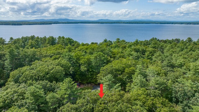 drone / aerial view with a water and mountain view