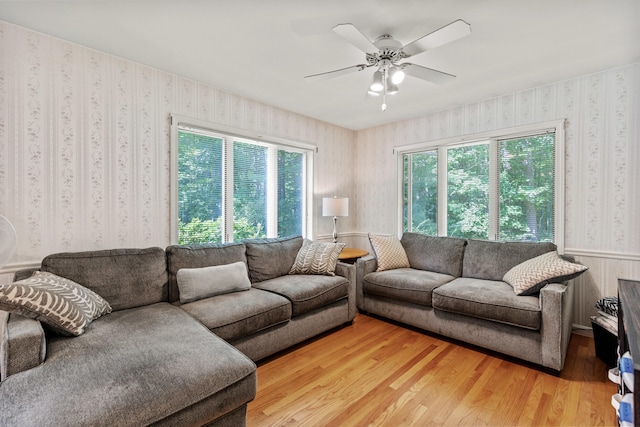 living room with ceiling fan and light hardwood / wood-style floors