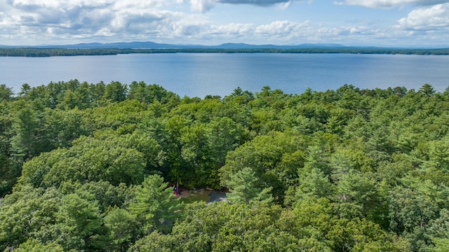 birds eye view of property featuring a water and mountain view