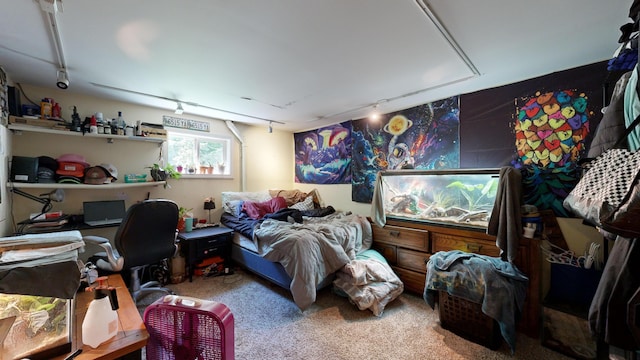 bedroom with carpet floors