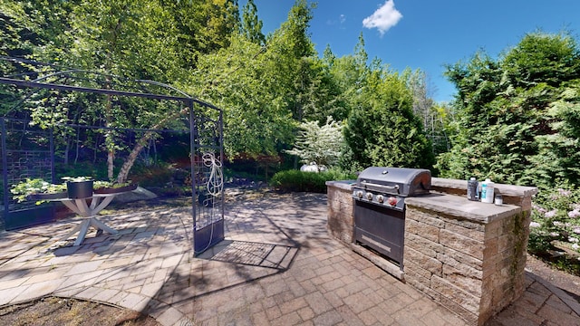 view of patio / terrace with an outdoor kitchen and grilling area