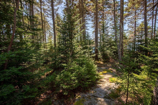 169 Island Ave, Saint George, ME 04859 - photo 31