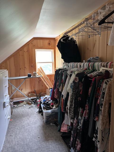 spacious closet with carpet and lofted ceiling