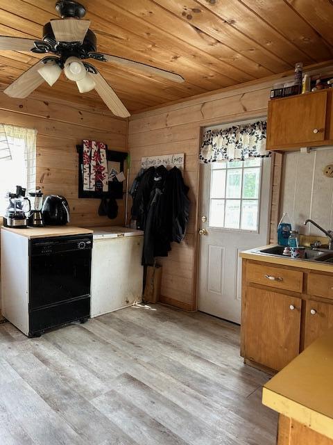 kitchen with light wood-type flooring, wooden ceiling, wood walls, and sink