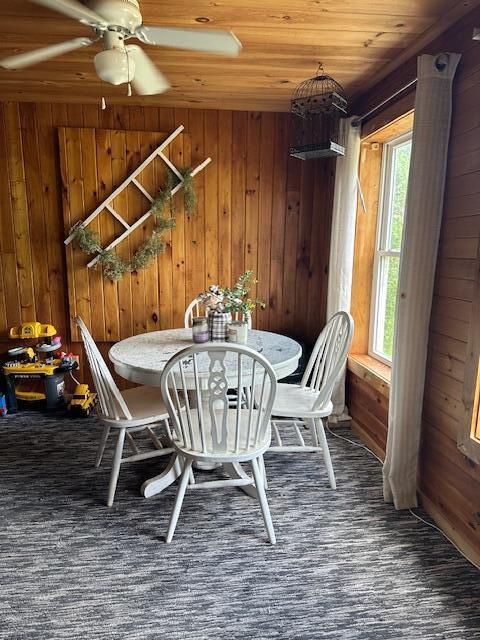 dining room with wooden walls, ceiling fan, a healthy amount of sunlight, and wooden ceiling