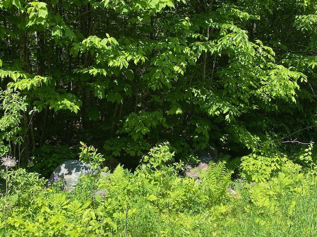 12A1 Bay View Dr, Greenville, ME 04441