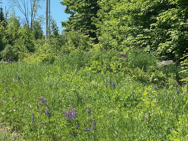 12A1 Bay View Dr, Greenville, ME 04441