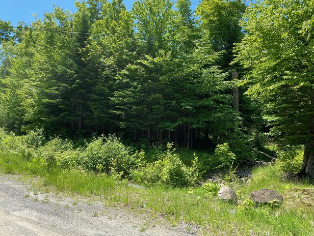 12A1 Bay View Dr, Greenville, ME 04441 - photo 8