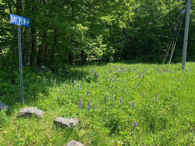 12A1 Bay View Dr, Greenville, ME 04441 - photo 4