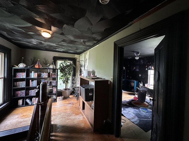 hall featuring wood-type flooring