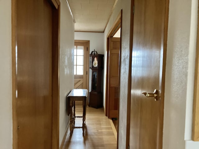 hall with light hardwood / wood-style flooring and ornamental molding