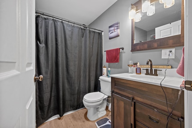 bathroom featuring hardwood / wood-style flooring, vanity, and toilet